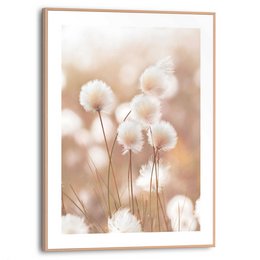 Gerahmtes Bild Slim Frame Cotton Pops 40x30