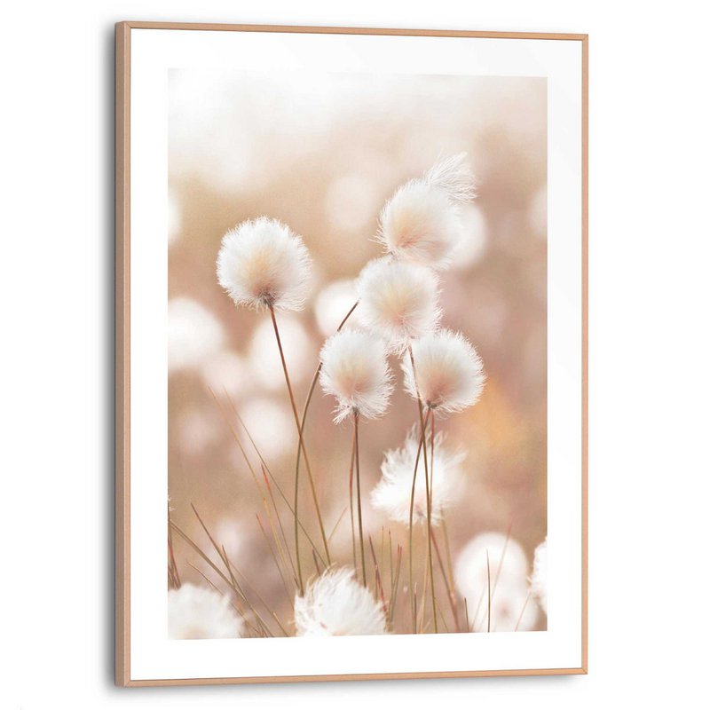 Gerahmtes Bild Slim Frame Cotton Pops 40x30