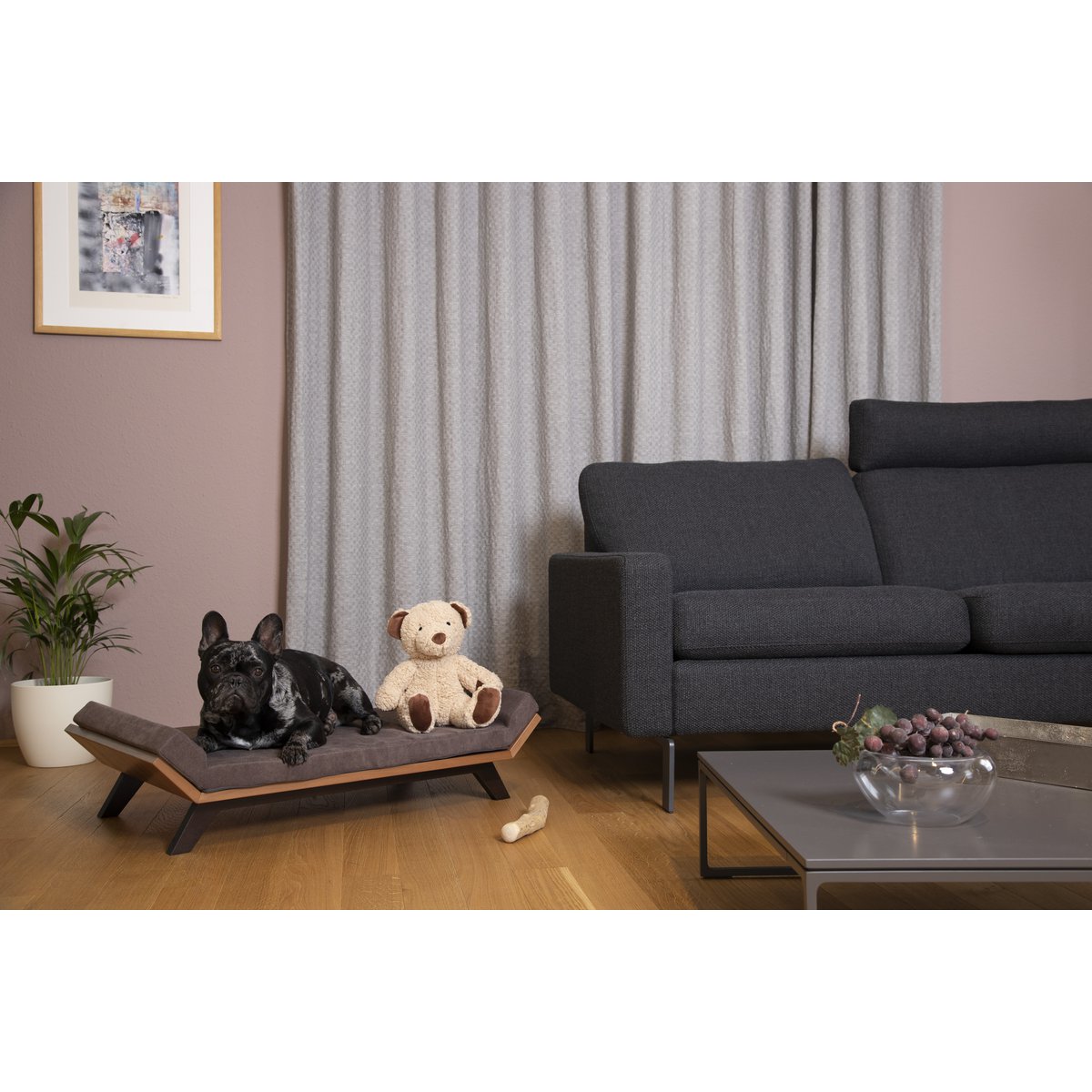 Arcturus (Dog & Cat Bed) ORDER MATTRESS SEPARATE