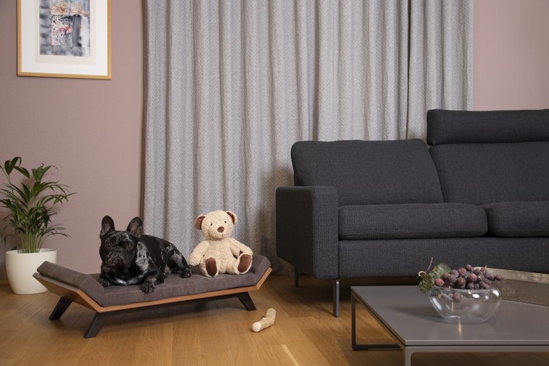 Arcturus (Dog & Cat Bed) ORDER MATTRESS SEPARATE