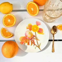 Botanical Wonders - Set of 4 breakfast plates