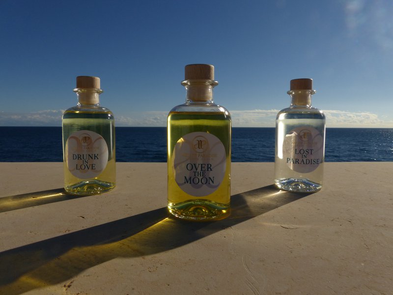 LOST IN PARADISE - REED DIFFUSER - 250 mL