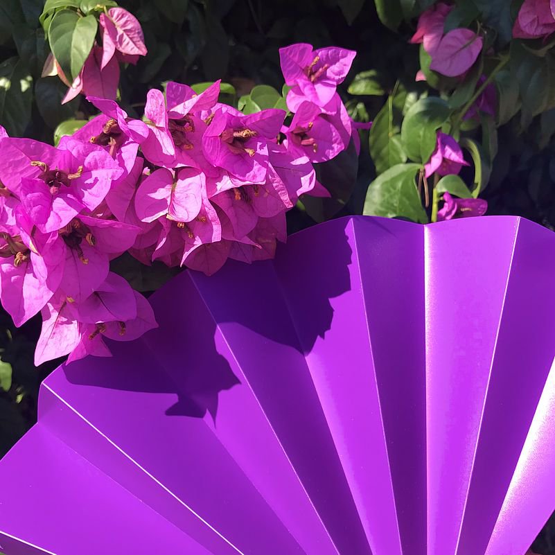 Abanico, abanico, abanico, violeta opaco