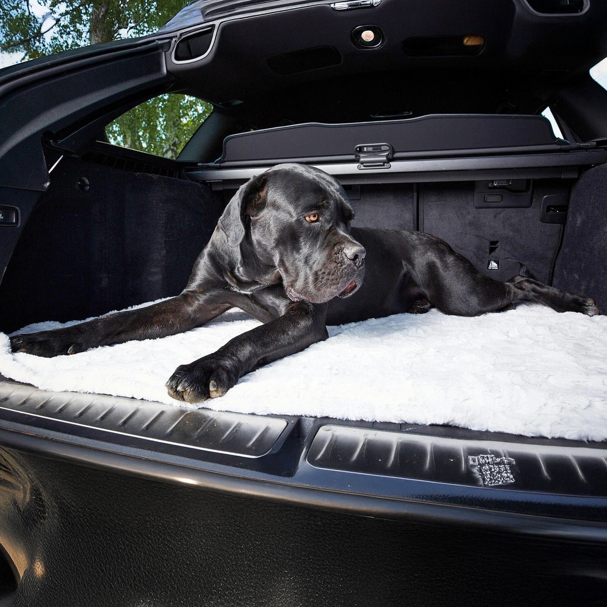 COZY Kuscheldecke für Hunde