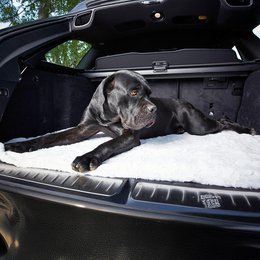 COZY Kuscheldecke für Hunde