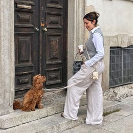 Dog leash multifunction midsummer design adjustable sizes small medium durable pet accessory