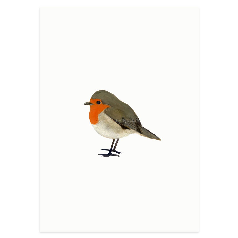 postcard | Robin