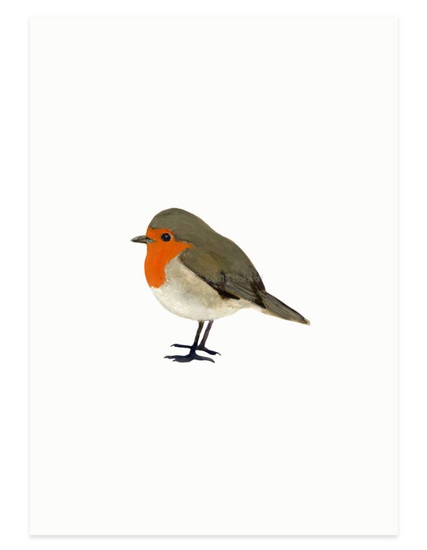 postal | Robin