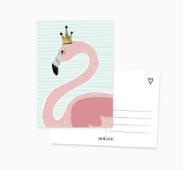 A6 Ansichtkaart || Flamingo
