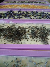 Organic Certified Solid Soap - Ylang Ylang with Blue Corn Flowers 90g