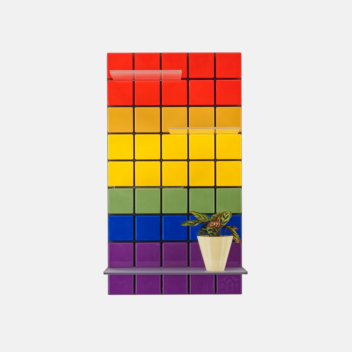 Confetti Collection - CK Pride