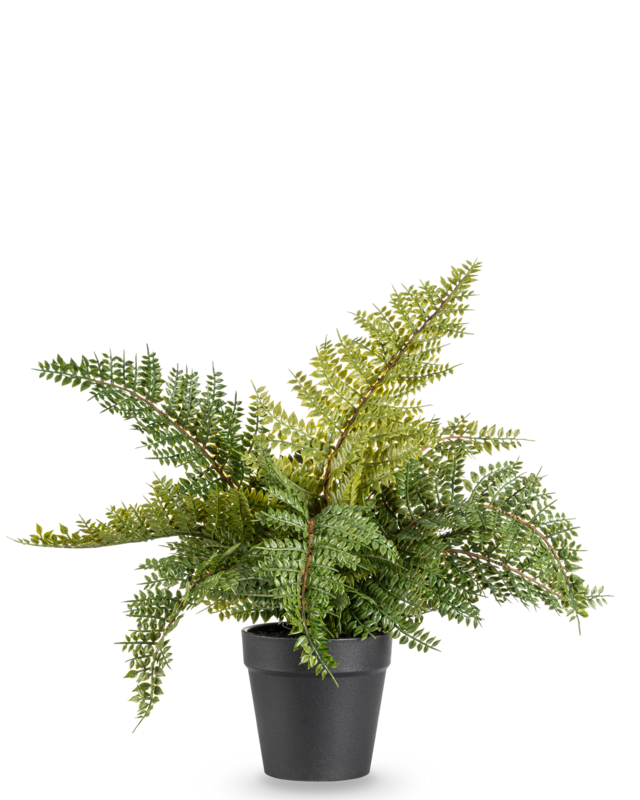 Sztuczna roślina Paproć 33 cm