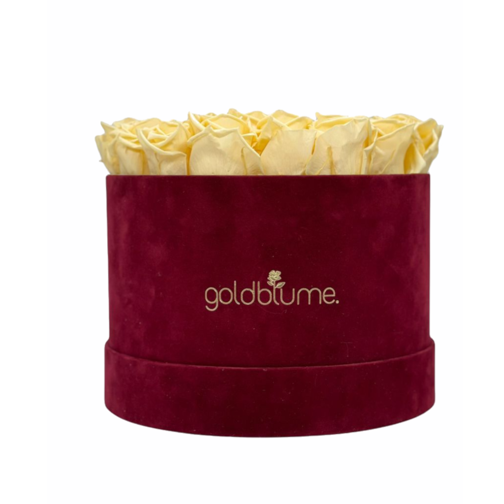 Collection Velours Bordeaux