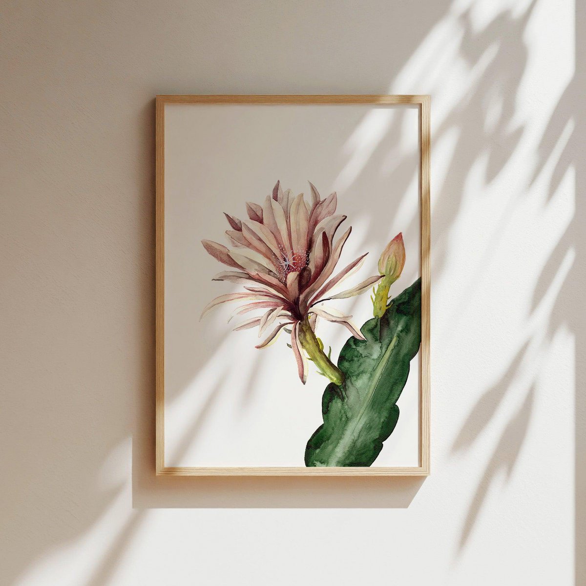 Kunstdruck - Red Cactus Flower