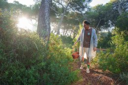 Mushroomsokker | Vilde svampe i skov - afslappet uoverensstemmende sokker