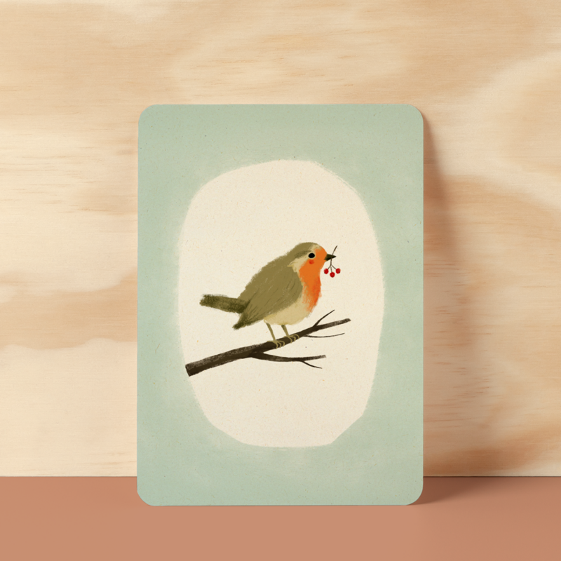 Postcard |  Robin