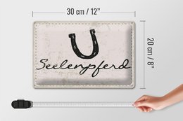 Blikskilt, der siger 20x30 cm soul hestesko dekorativt skilt