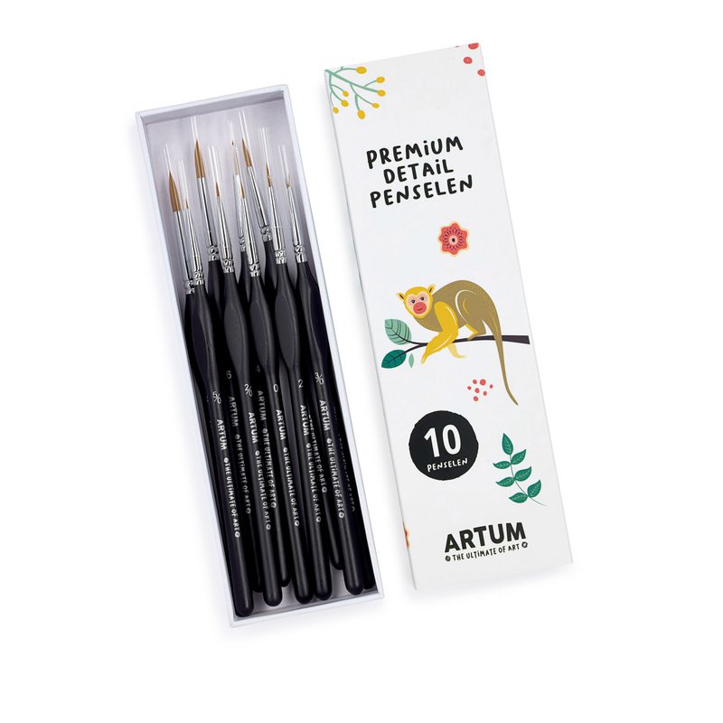 Juego de brochas 10 piezas
