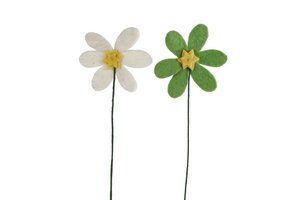 Decorative flower Flower cream/green