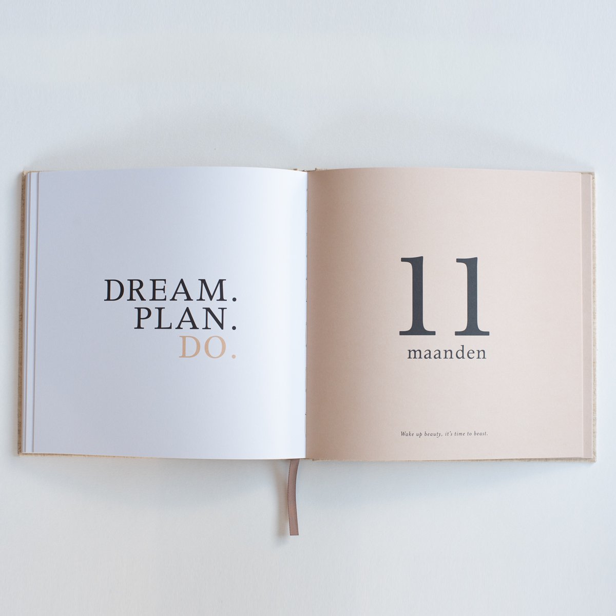 Livre à compléter pour la première année