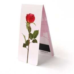Museum Webshop