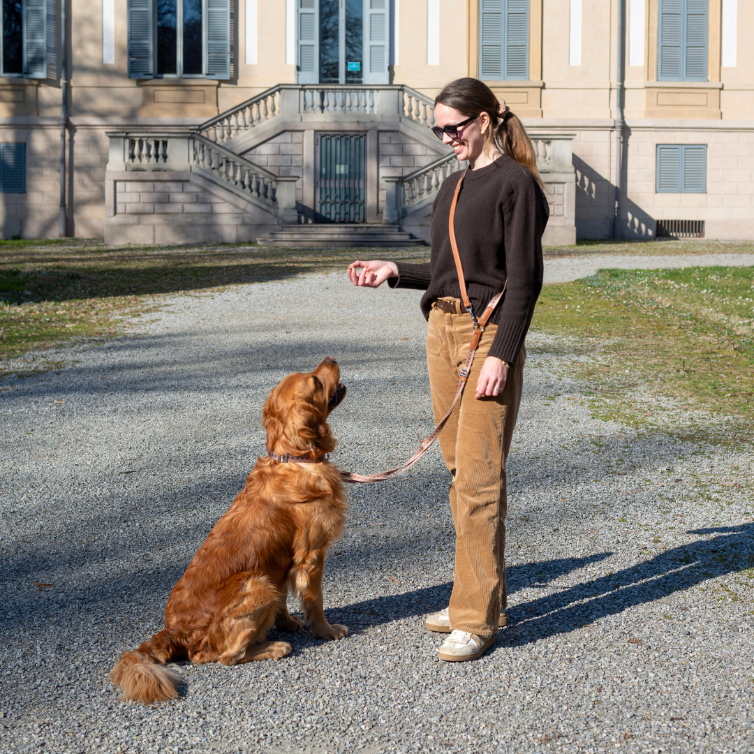 Multifunction leash - Timeless Mocha
