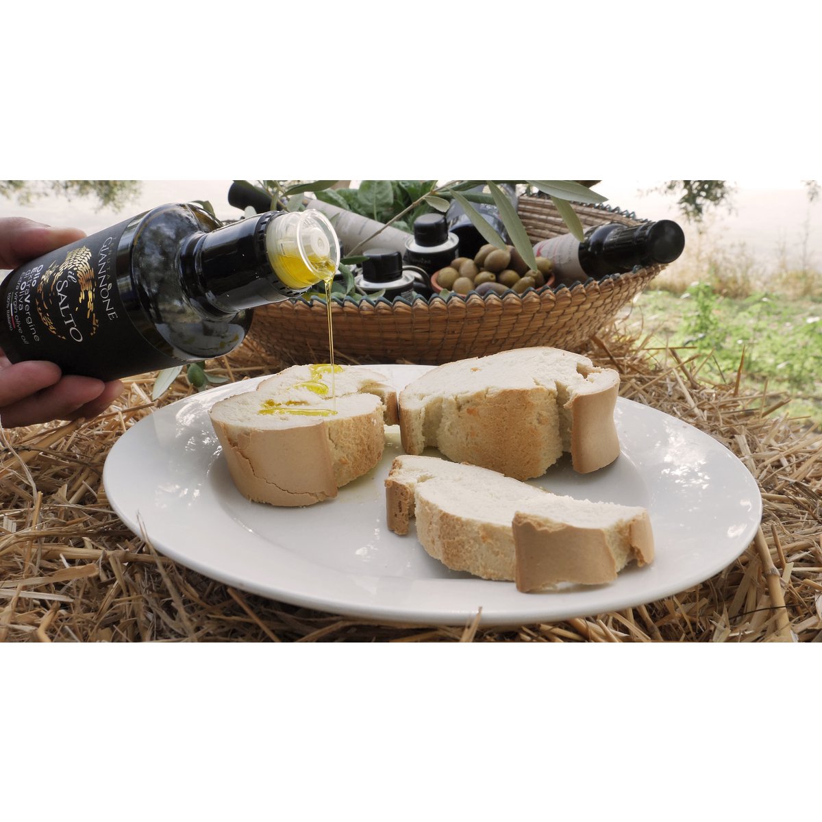 ITALIA | SICILIA | Extra Virgin Olive Oil - il SALTO | 1 LT