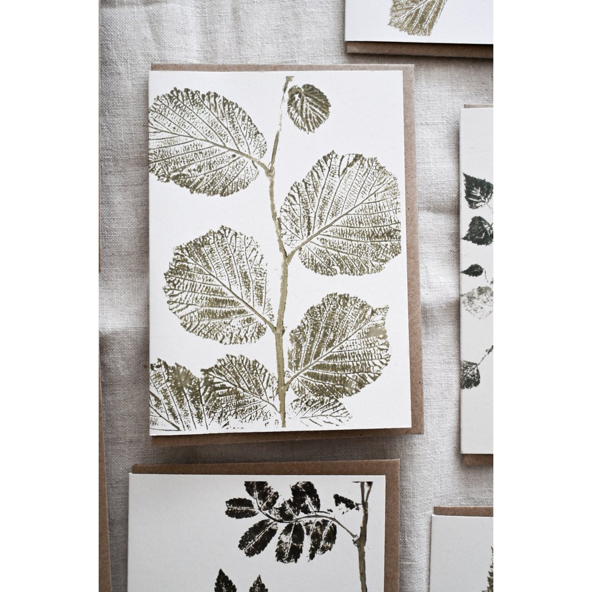 Hazel | Une journée dans la forêt | Cartes de vœux inspirées de la nature