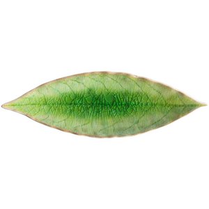 RIVIERA Laurel Leaf 18cm tomate VEP 182