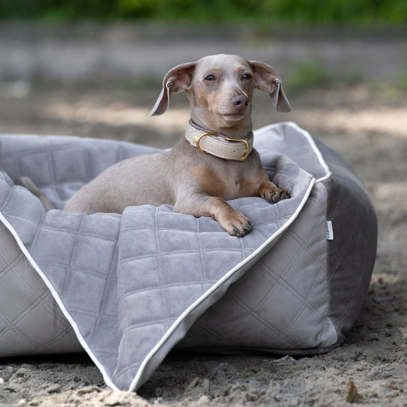 OXFORD I CLASSIC HUNDEBETT