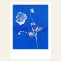 Risography Postcard - Anemone - DIN A6