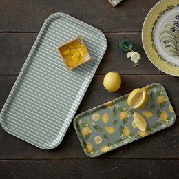 VASSOIO 32X15 - LIMONE