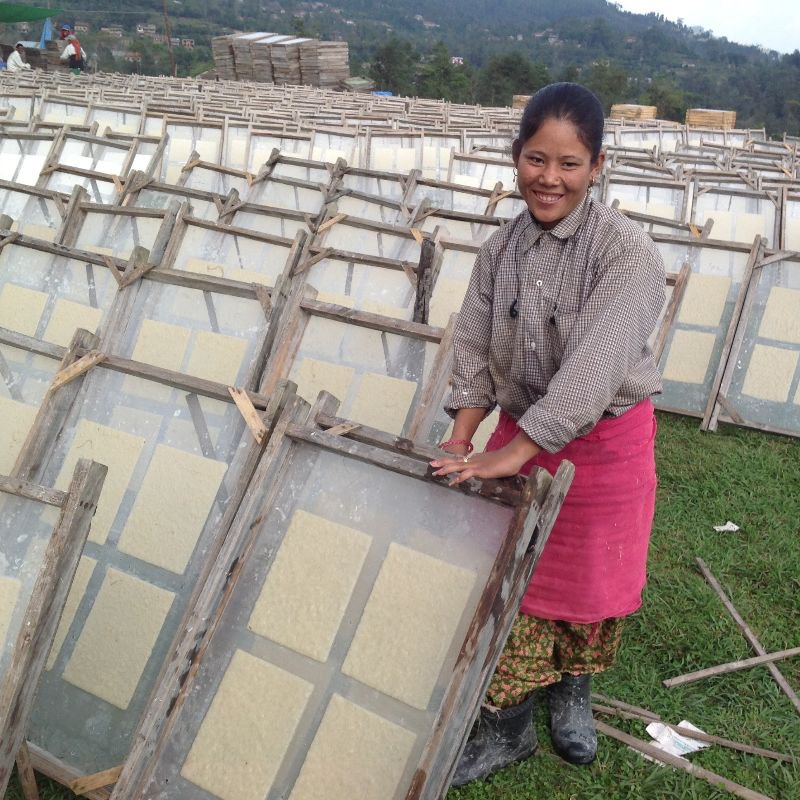 Luna-Leena-Grußkartenset + Girlandensterne Gold – vertikal – L115 cm – Gold – umweltfreundliches Papier – handgefertigt in Nepal