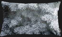  Gray white cushion cover with pine branch pattern, 30x50 size, winter forest design.