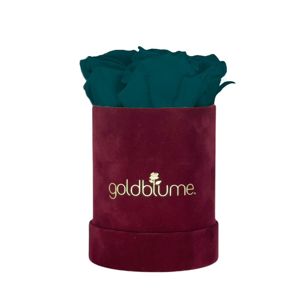 Collection Velours Bordeaux