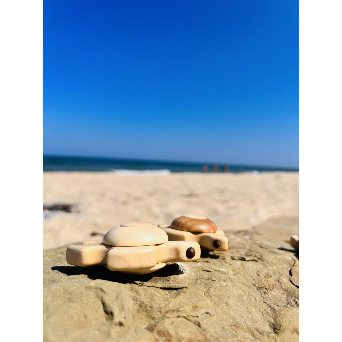 Jouet Tortue de Mer - Tortuga en Bois