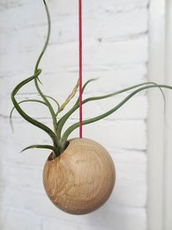 Esfera Colgante - Roble Claro