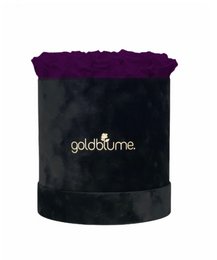 Velvet Black Collection