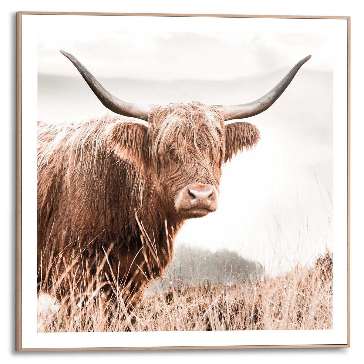 Painting Slim Frame Highlander 50x50