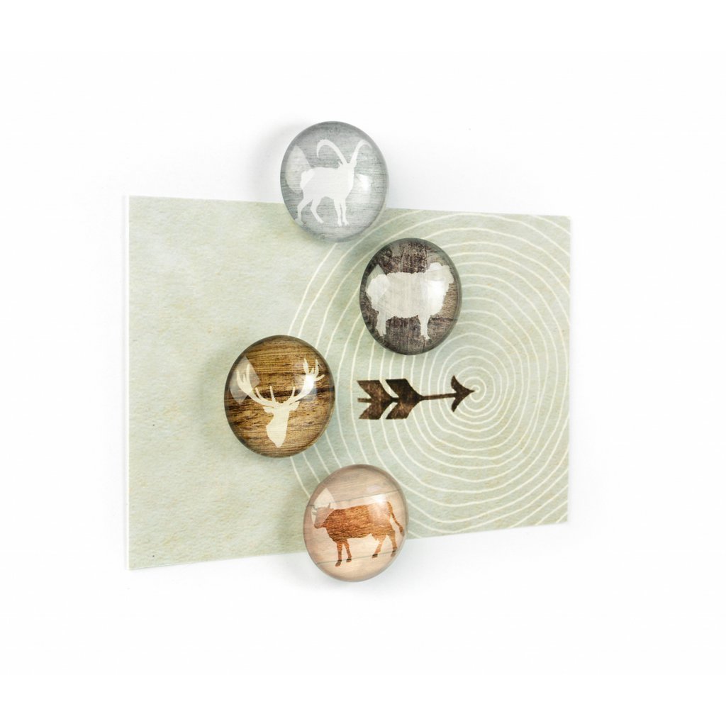 Trendform Magneten Magnet Eye - Alp Life - Set van 4 - Assorti
