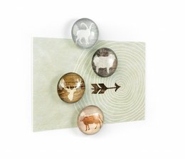 Trendform Magneten Magnet Eye - Alp Life - Set van 4 - Assorti