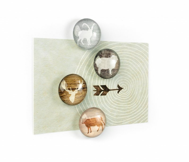 Trendform Magneten Magnet Eye - Alp Life - Set van 4 - Assorti