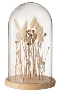 J-Line decoratir Stolp Droogbloemen - glas/hout - ecru/bruin - large