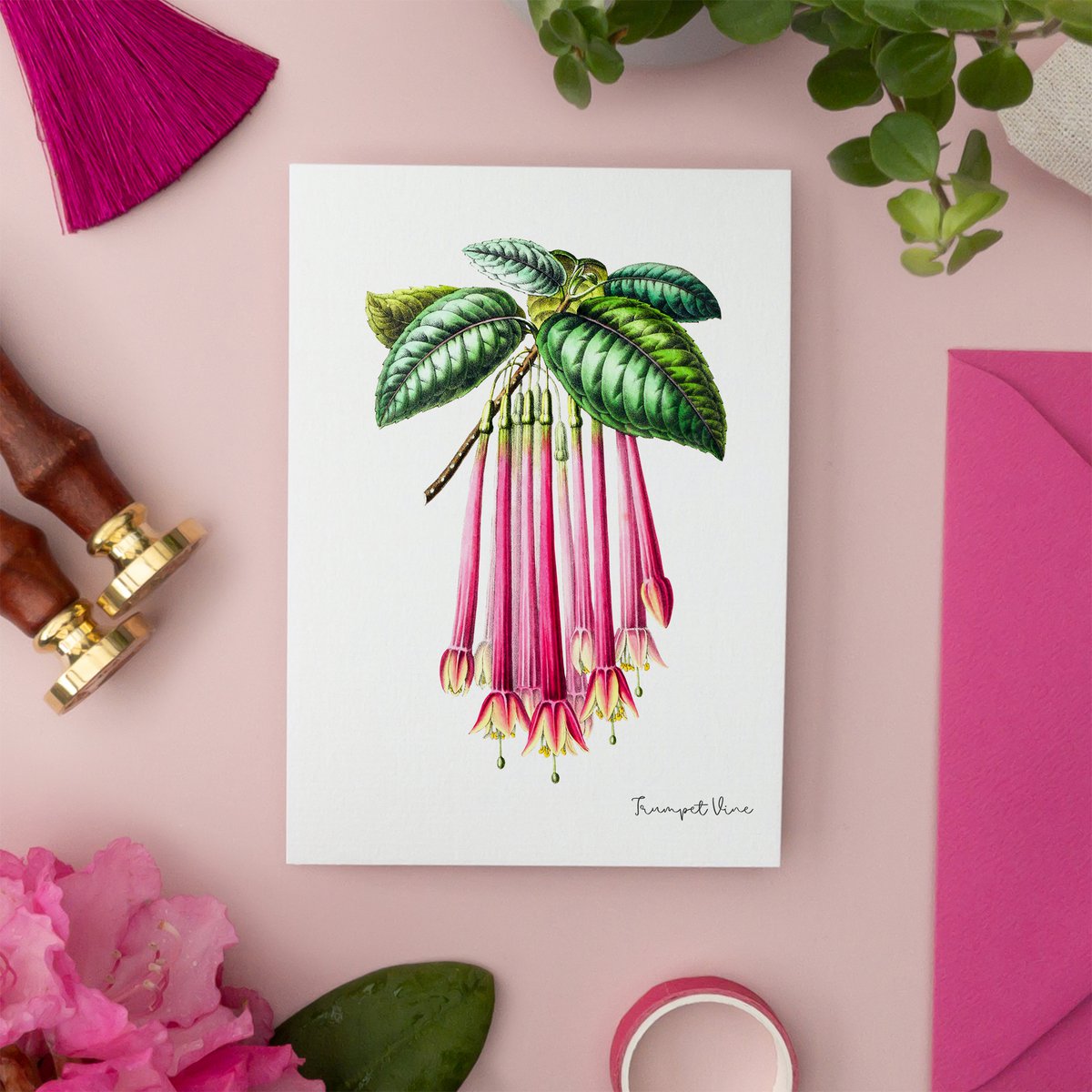 Pink Pack - Handgemachte Postkarten A6 mit Umschlag - Botanical Vintage