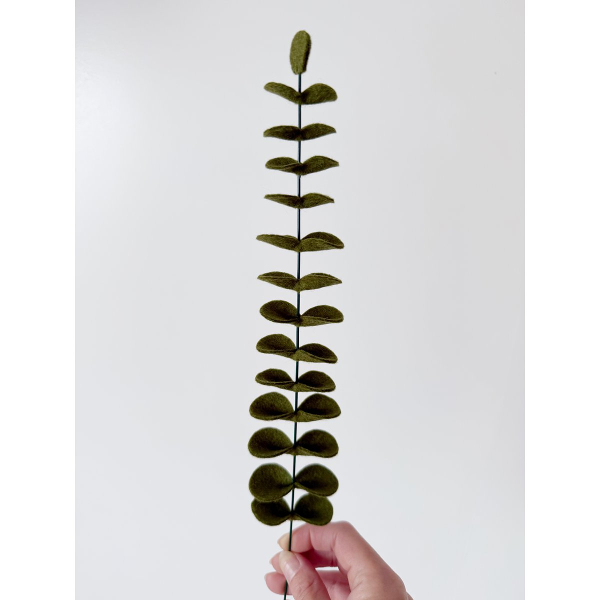 Feltbloem eucalyptus dark green