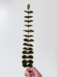 Feltbloem eucalyptus dark green