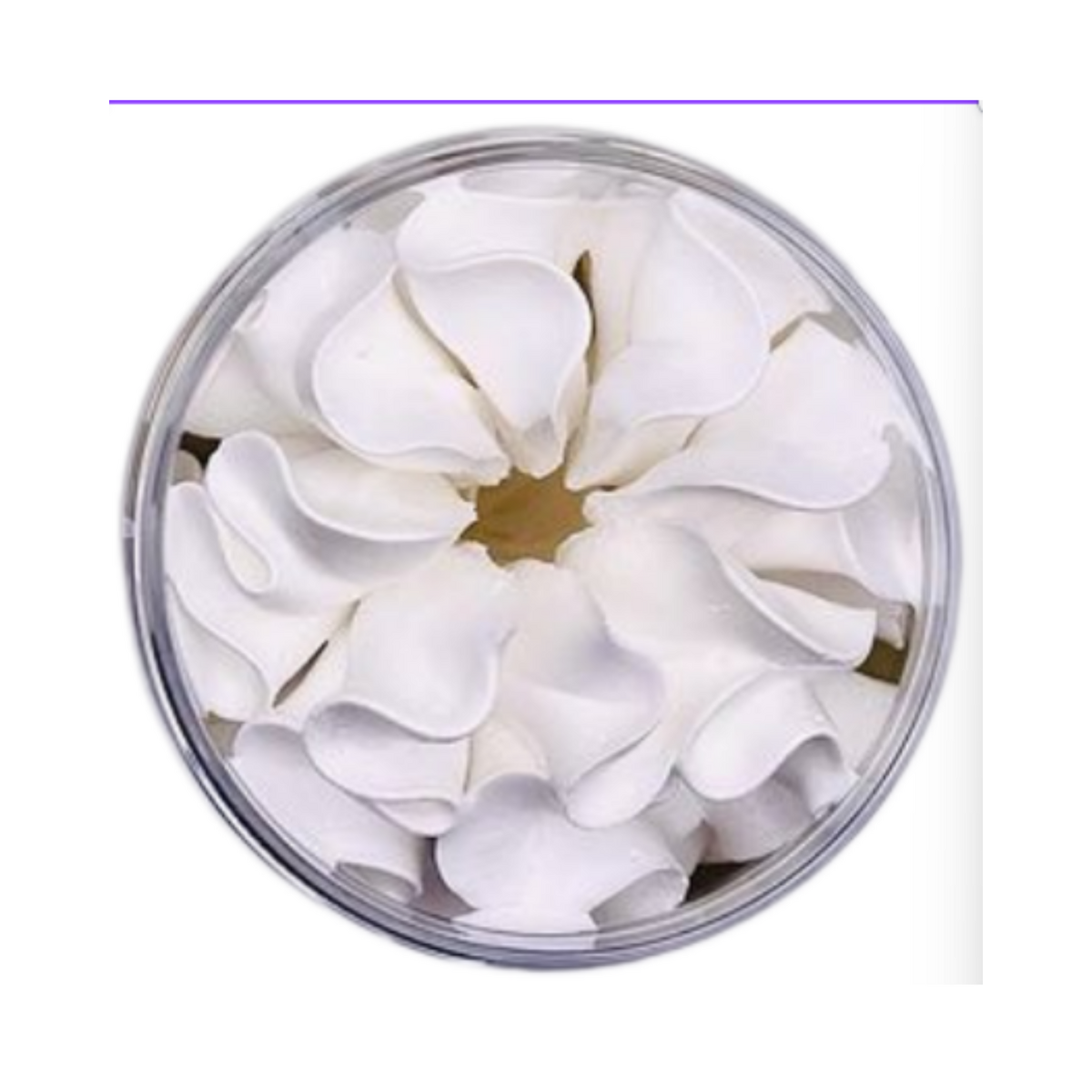 THE SCOOP WHIPPED SOAP