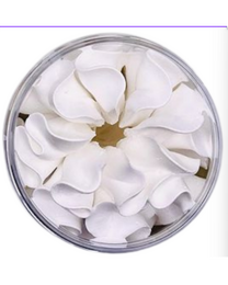 THE SCOOP WHIPPED SOAP