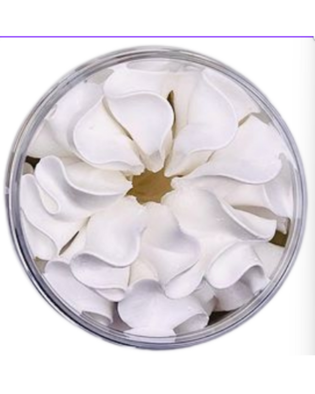 THE SCOOP WHIPPED SOAP