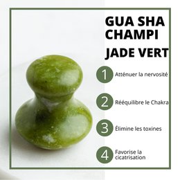 Paquete de Venta Ventaja 11 + 1 Gratis - Champi Gua Sha para Rostro y Cuerpo Green Jade